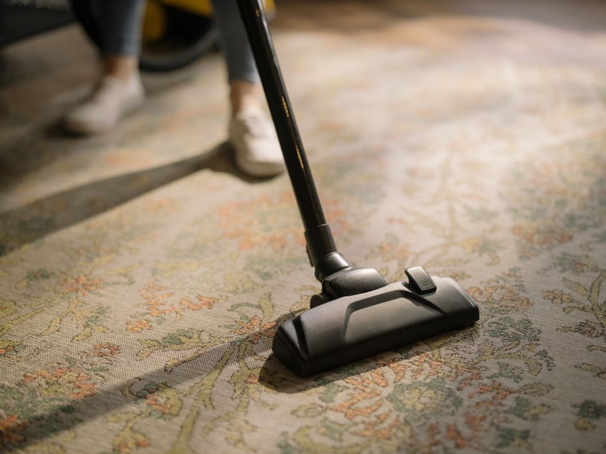 Deep carpet cleaning of a rug in Wellington