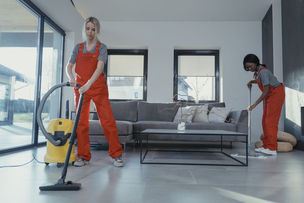 Apex cleaning team cleaning a bright Wellington living room
