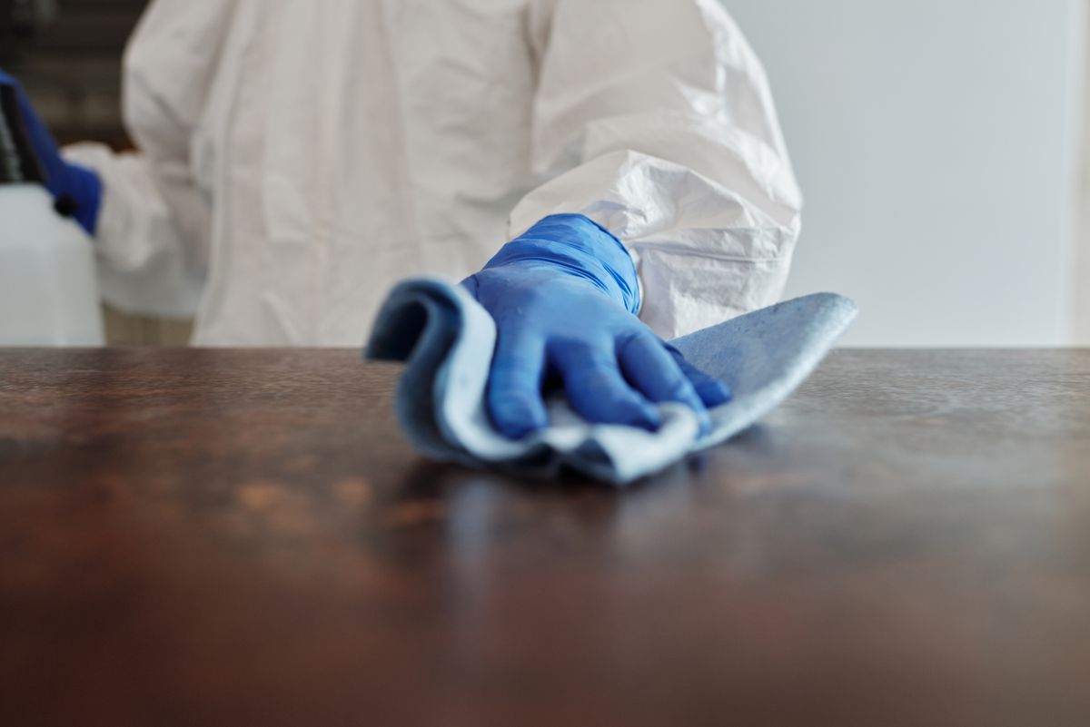 House cleaner wiping surfaces in a Wellington home