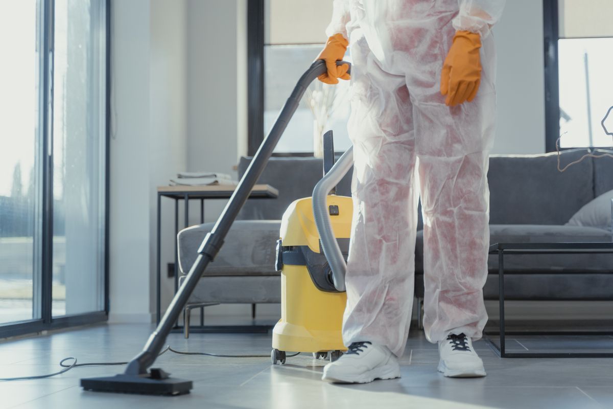 Upholstery and sofa cleaning in Wellington